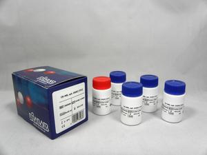 CK-MB,opt.DGKC/IFCC