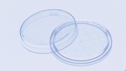 Petriho miska kontaktní 65/15 mm, s průduchy, sterilní