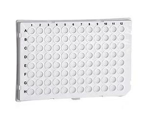 96 WELL PCR-PLATE, PP, WHITE LIGHT CYCL