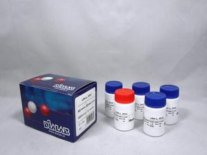 LDH-L, IFCC