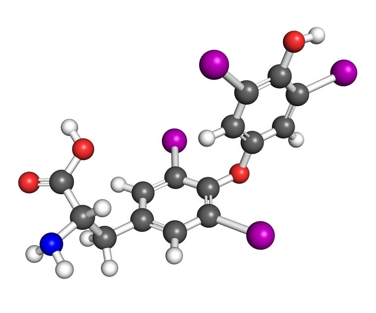 Thyroidy